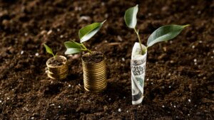 في مقالنا اليوم سنستعرض لك زكاة المال على الأرض كنوعٍ مهمٍ من أنواع الزكاة، ما مقدارها، أحكامها التشريعية ودورها في تعزيز العدالة الاجتماعية - Today's article will review zakat on land as an important type of zakat, its amount, legislative rulings, and its role in promoting social justice and sustainable development.