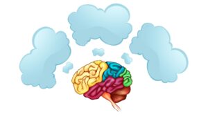 سنتعرف في هذا المقال على تاريخ تطوير مقياس هيرمان، وأنماط التفكير الأربعة في مقياس هيرمان وتأثيرها على العلاقات الشخصية والمهنية - In this article, we will learn about the history of the development of the Herrmann Brain, the four thinking patterns in the Hermann scale and their impact on interpersonal relationships