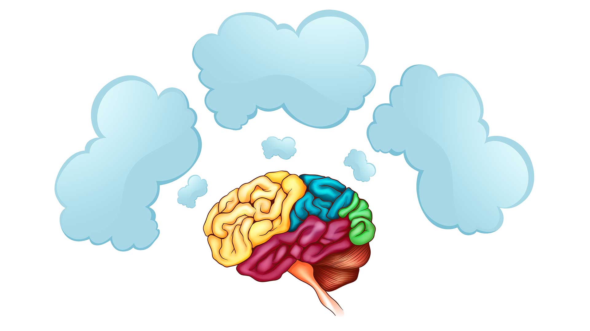 سنتعرف في هذا المقال على تاريخ تطوير مقياس هيرمان، وأنماط التفكير الأربعة في مقياس هيرمان وتأثيرها على العلاقات الشخصية والمهنية