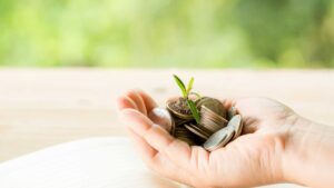 في هذا المقال، نناقش أهم أحكام زكاة المال في المذهب المالكي في المغرب، ونصابه بالدرهم المغربي ، وكيفية حسابه-In this article, we discuss the most important rulings of zakat al-mal in the Maliki school in Morocco, its nisab in Moroccan Dirham, and how to calculate it.