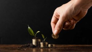 نوضح في هذا المقال الأحكام المتعلقة بزكاة المال في رمضان وأحكامها ونصابها، وهل تجب الزكاة في رمضان أم لا - In this article, we discuss the rulings related to Zakat al-mal in Ramadan, and whether it is obligatory to pay zakat during Ramadan.