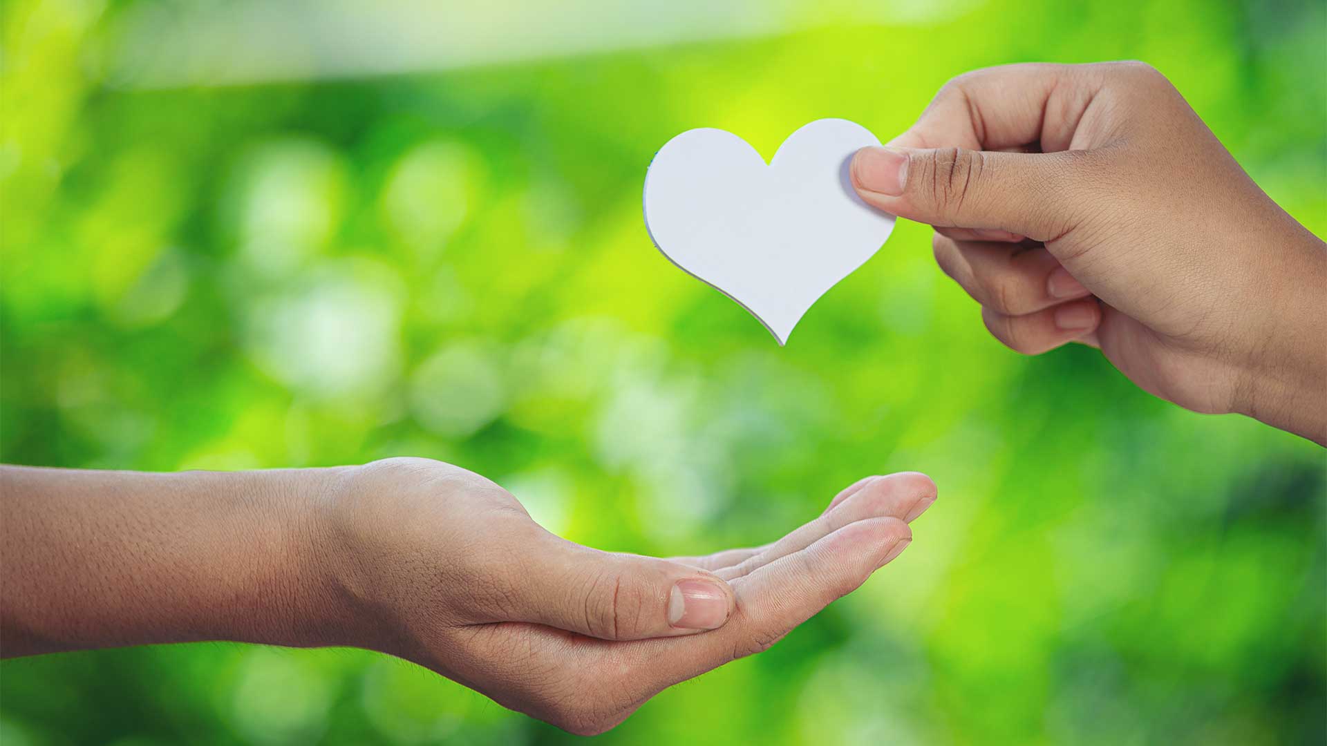 في هذا المقال سنناقش مفتاح السعادة الخفي في حياة الإنسان وما هي الهرومنات المسؤولة عن السعادة وكيفية تحفيزها.