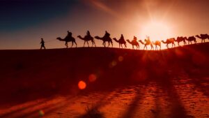 استكشف تنوع لهجات القبائل العربية من خليج العرب إلى الشام ومصر، وتعرف على كيفية تأثر هذه اللهجات بالعوامل الجغرافية والتاريخية