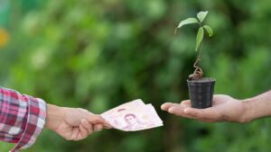 تعرف على أحكام زكاة الشركات ومتى تدفع ومن هم مستحقيها في الإسلام. مقال شامل يوضح زكاة الشركات وطريقة حسابها - Learn about the provisions of corporate zakat, when to pay it, and who is entitled to it in Islam. A comprehensive article on corporate zakat