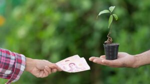 سنوضح في هذا المقال حكم صدقة يوم عرفة وحكمها وما هي وجوه الانفاق في هذا اليوم، وسنشرح أهم شروط قبول الصدقة في يوم عرفة - In this article, we will explain the ruling on Sadaqah on the day of Arafah and its ruling, and what are the objects of spending on this day