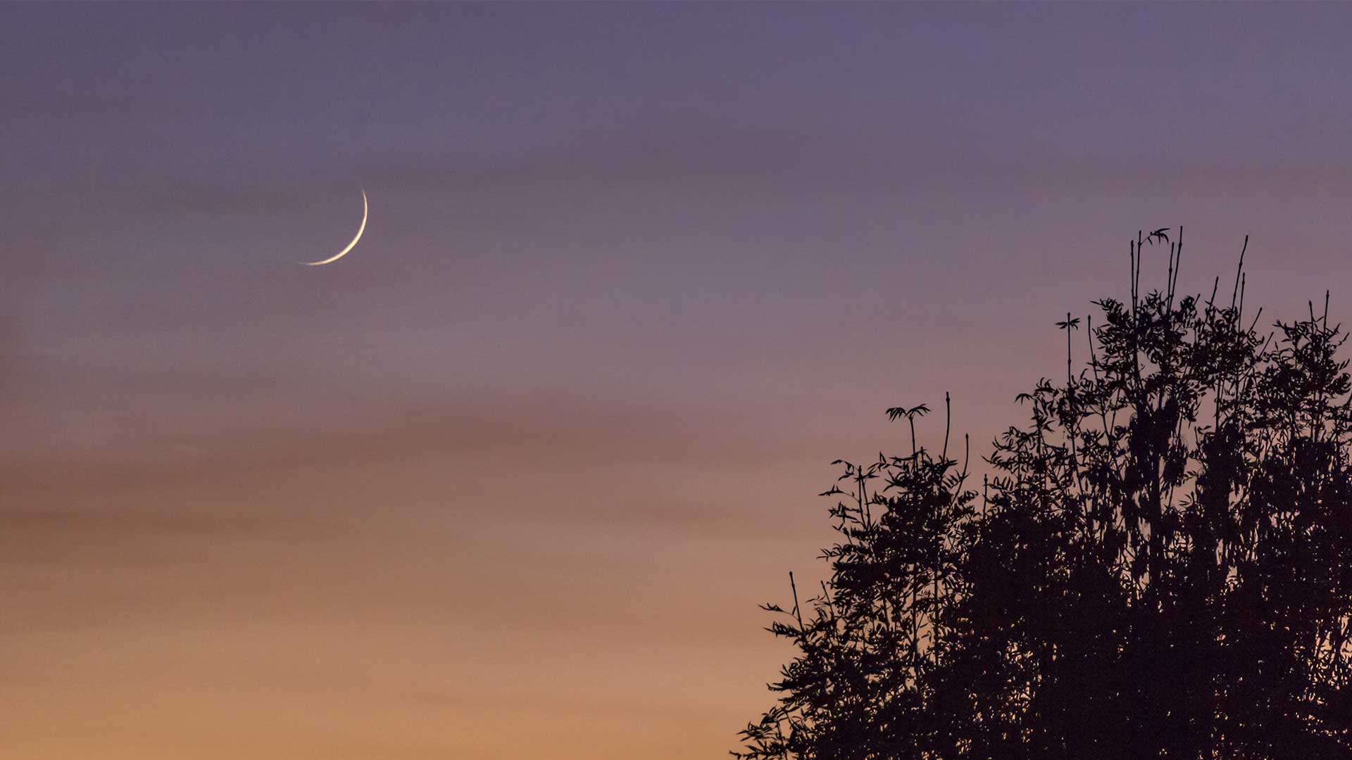 من علامات ليلة القدر أنها في العشر الأواخر والسماء فيها صافية، كما أن القمر في تلك الليلة يظهر كما لو كان شق جفنة، كما ورد في الحديث الشريف -the signs of Laylatul Qadr from Hadith and Quran, including weather signs like the moon, sun, and peace of the night.